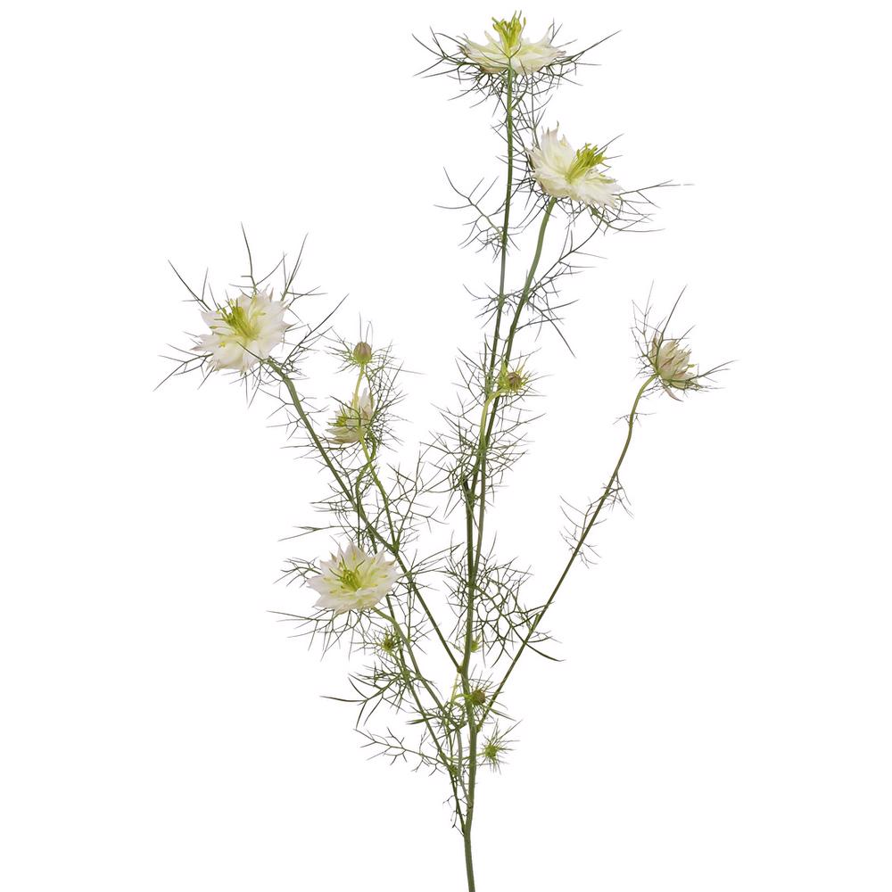esmeralda-farms-nigella-white-4