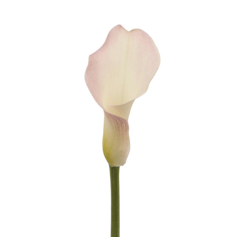 esmeralda-farms-mini-calla-lily-perle-rose-3
