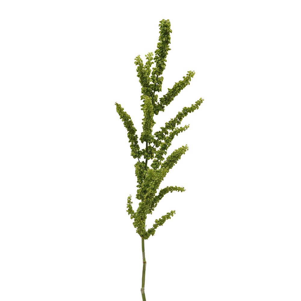 esmeralda-farms-rumex-unicorn-3