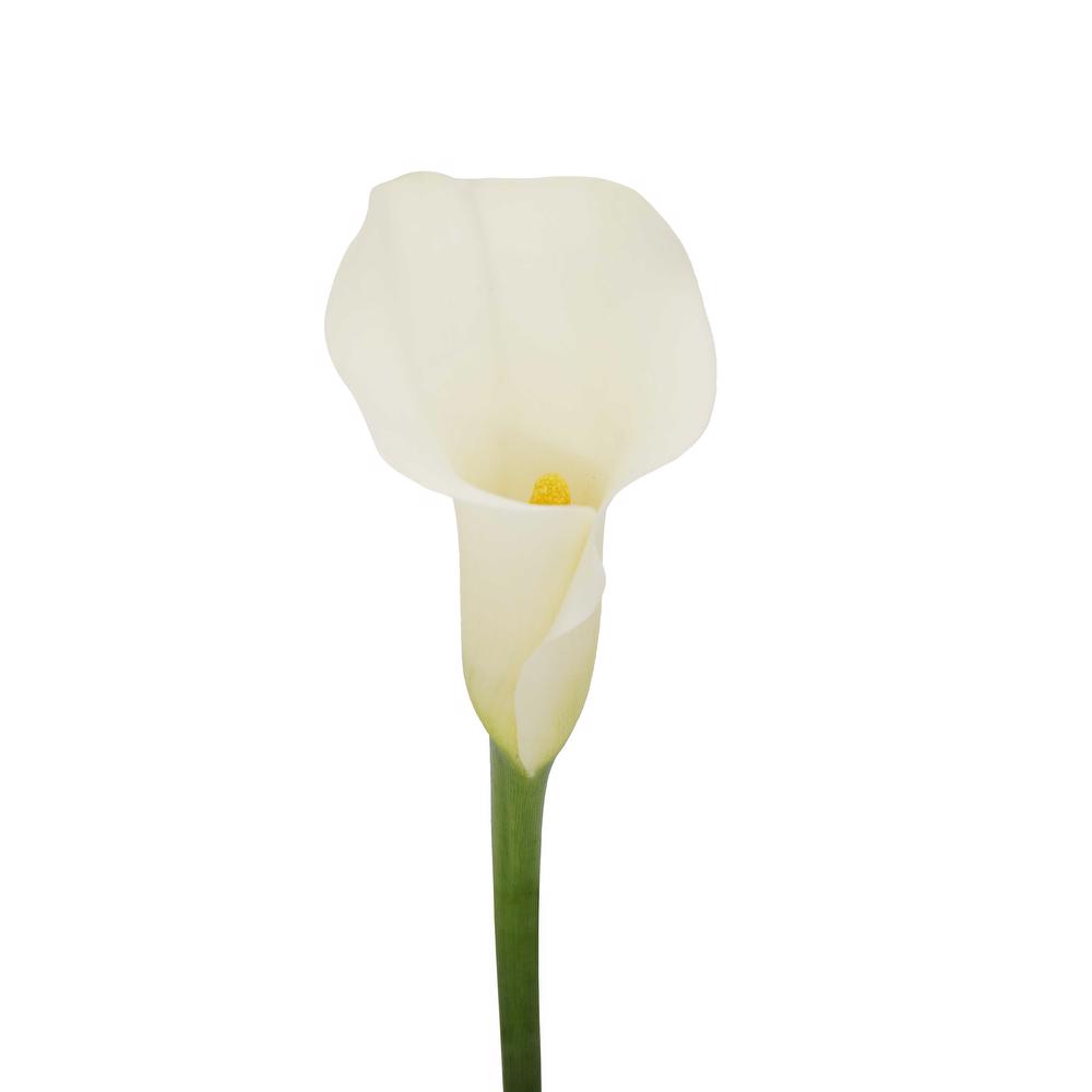 esmeralda-farms-mini-calla-lily-white-ideal-3