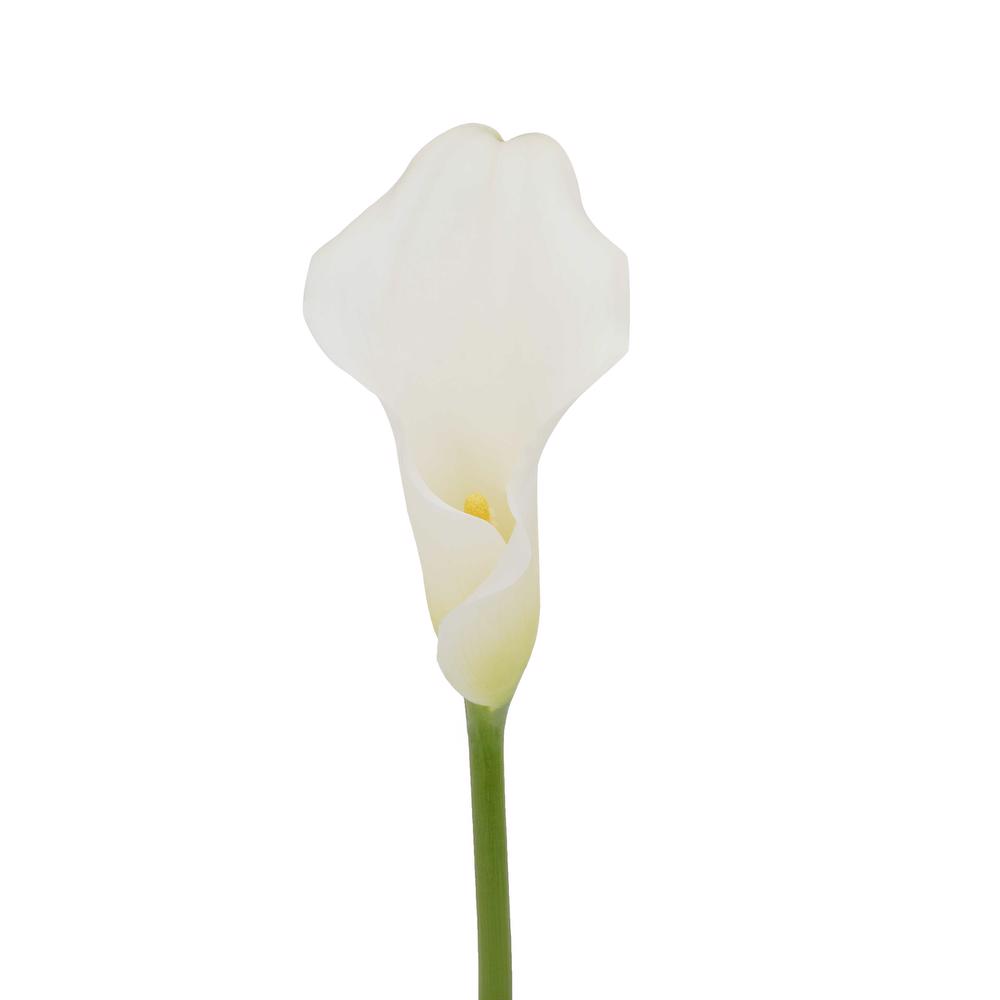 esmeralda-farms-mini-calla-lily-white-rumba-3