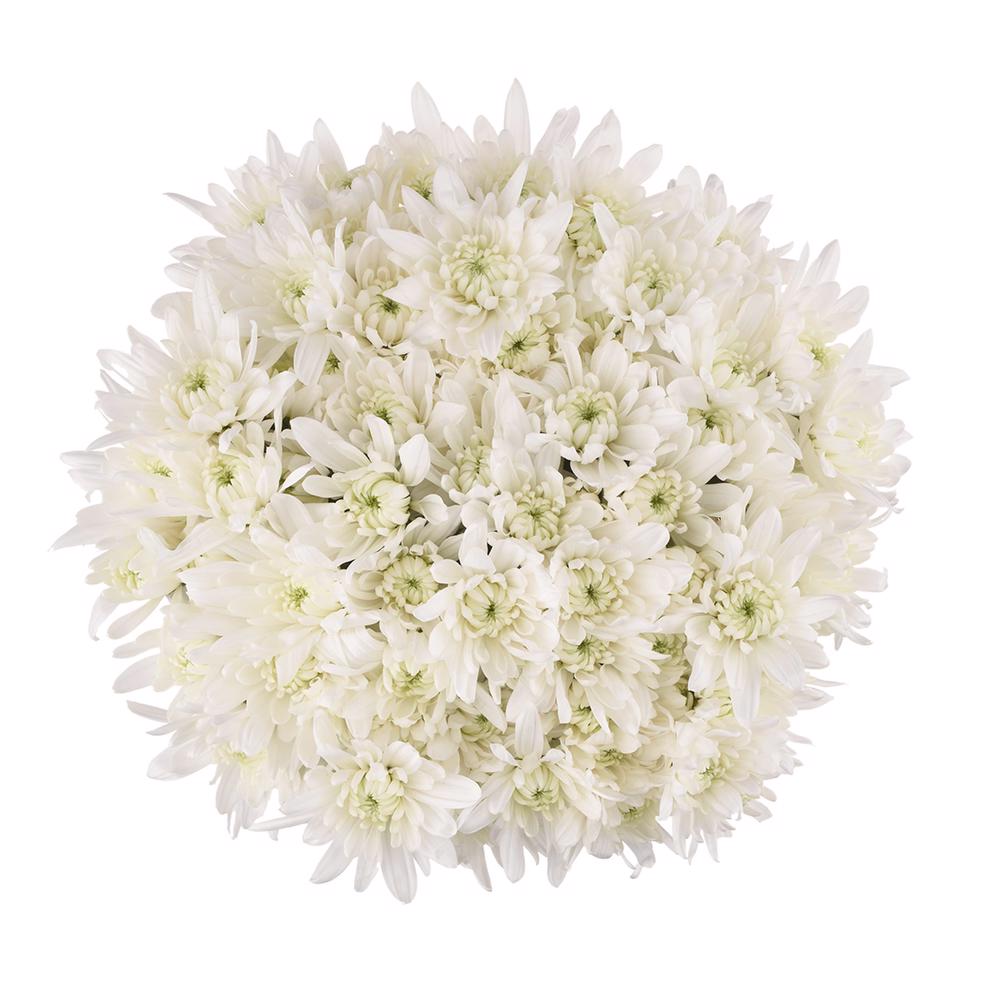 esmeralda-farms-pompon-cushion-maisy-3