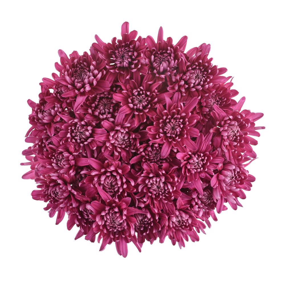 esmeralda-farms-pompon-cushion-andrea-3