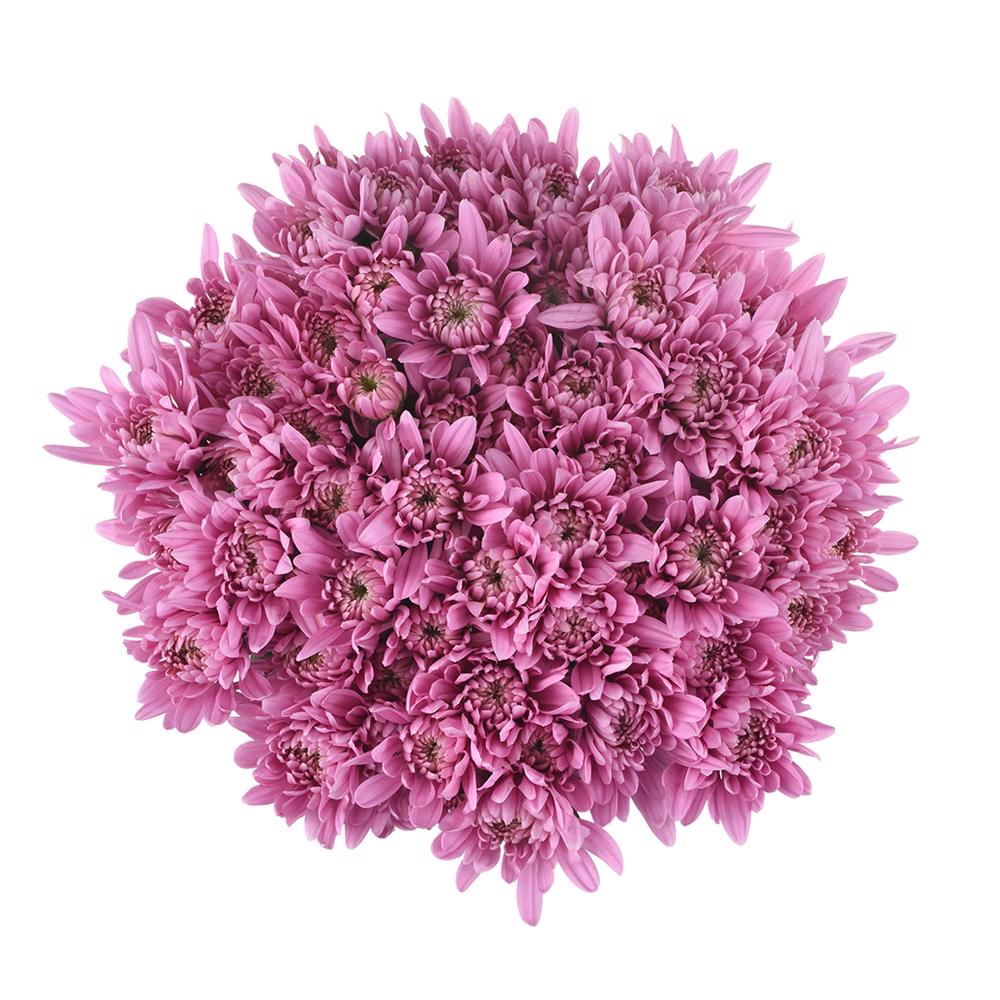 esmeralda-farms-pompon-cushion-veronica-3