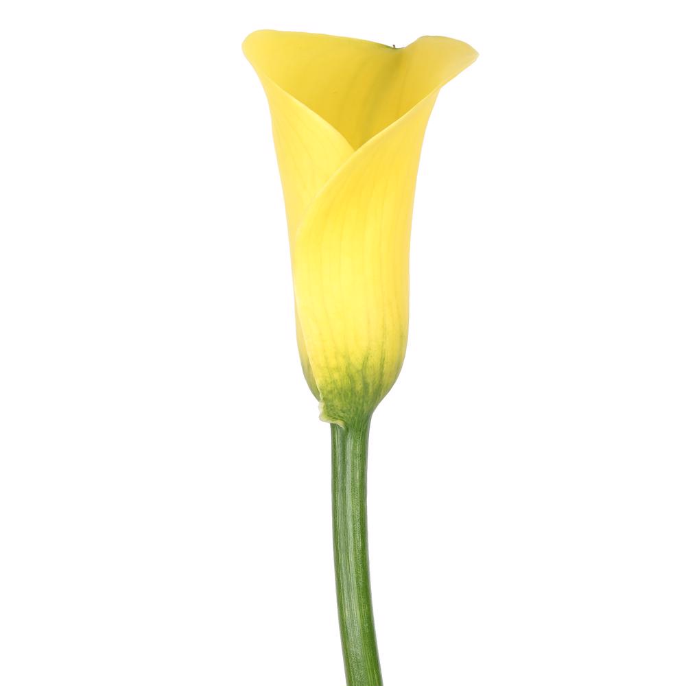 esmeralda-farms-calla-lily-sunray-side