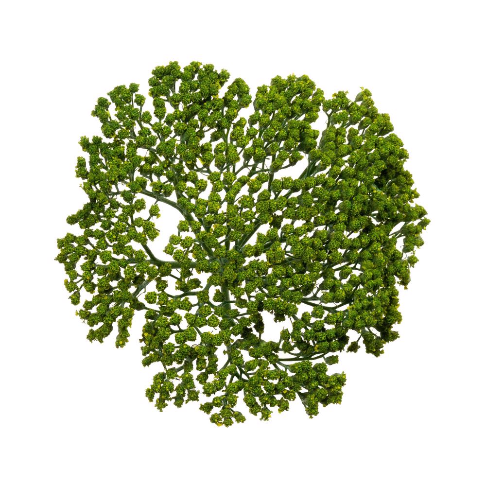 esmeralda-achillea-green-painted