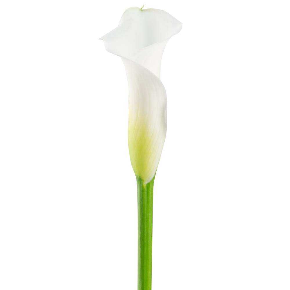 esmeralda-farms-calla-lily-aspen-side