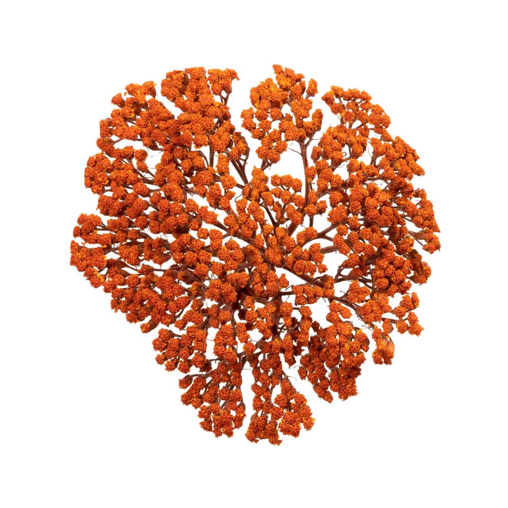 esmeralda-achillea-orange-painted