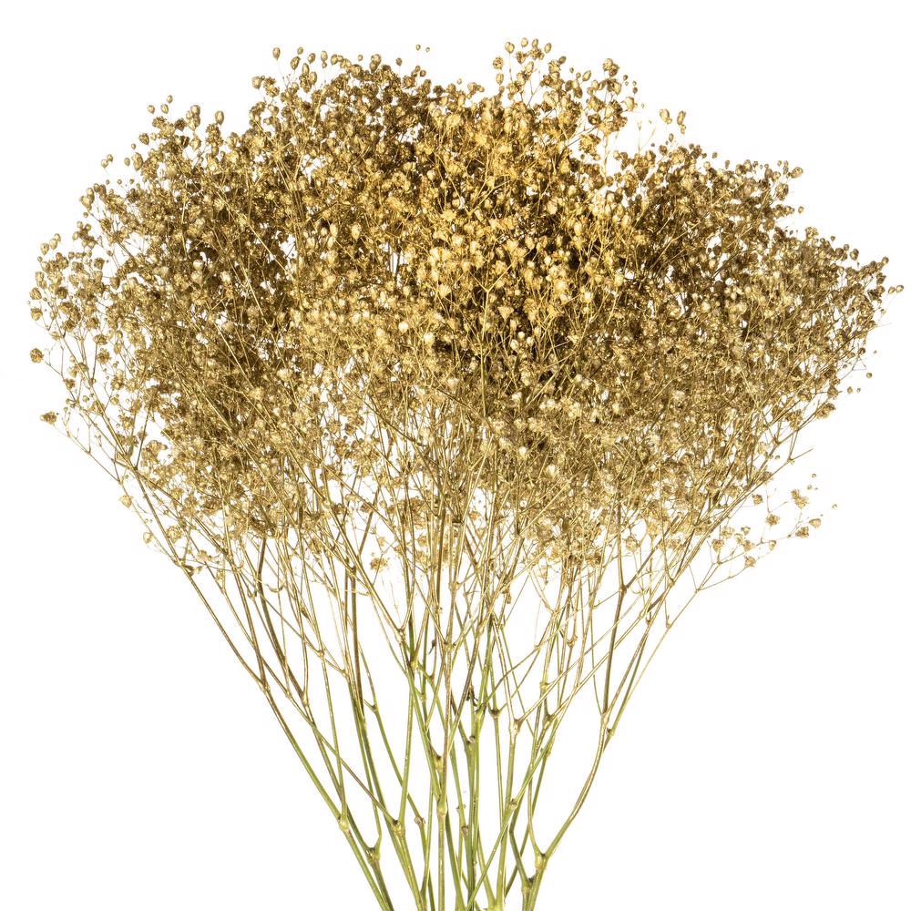 esmeralda-gypsophila-gold-painted