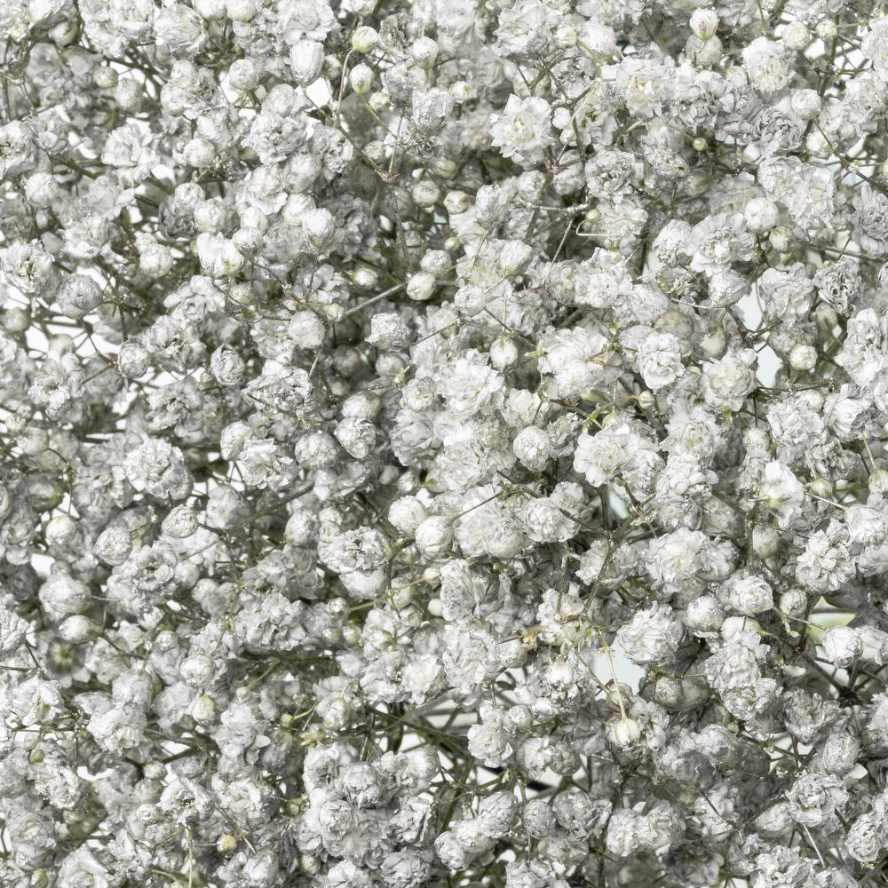 esmeralda-gypsophila-silver-painted