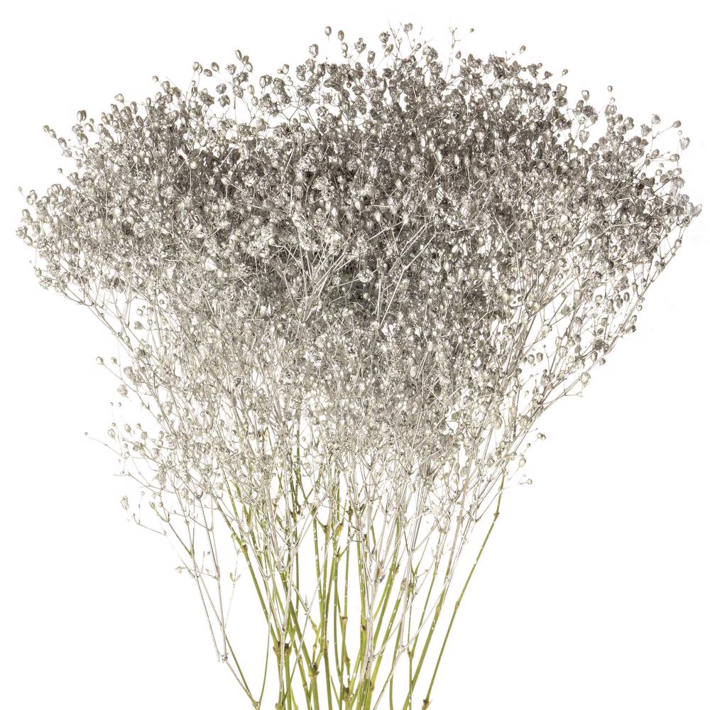 esmeralda-gypsophila-silver-painted