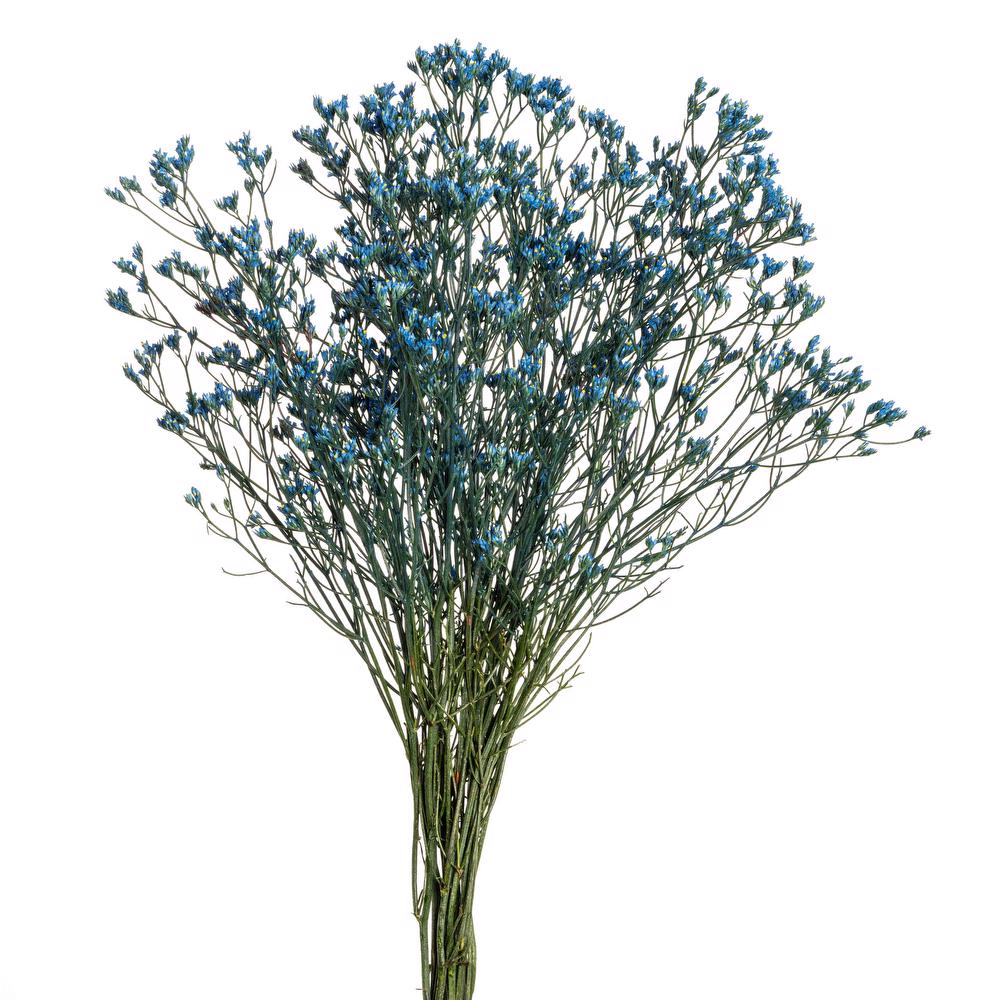 esmeralda-limonium-blue-painted