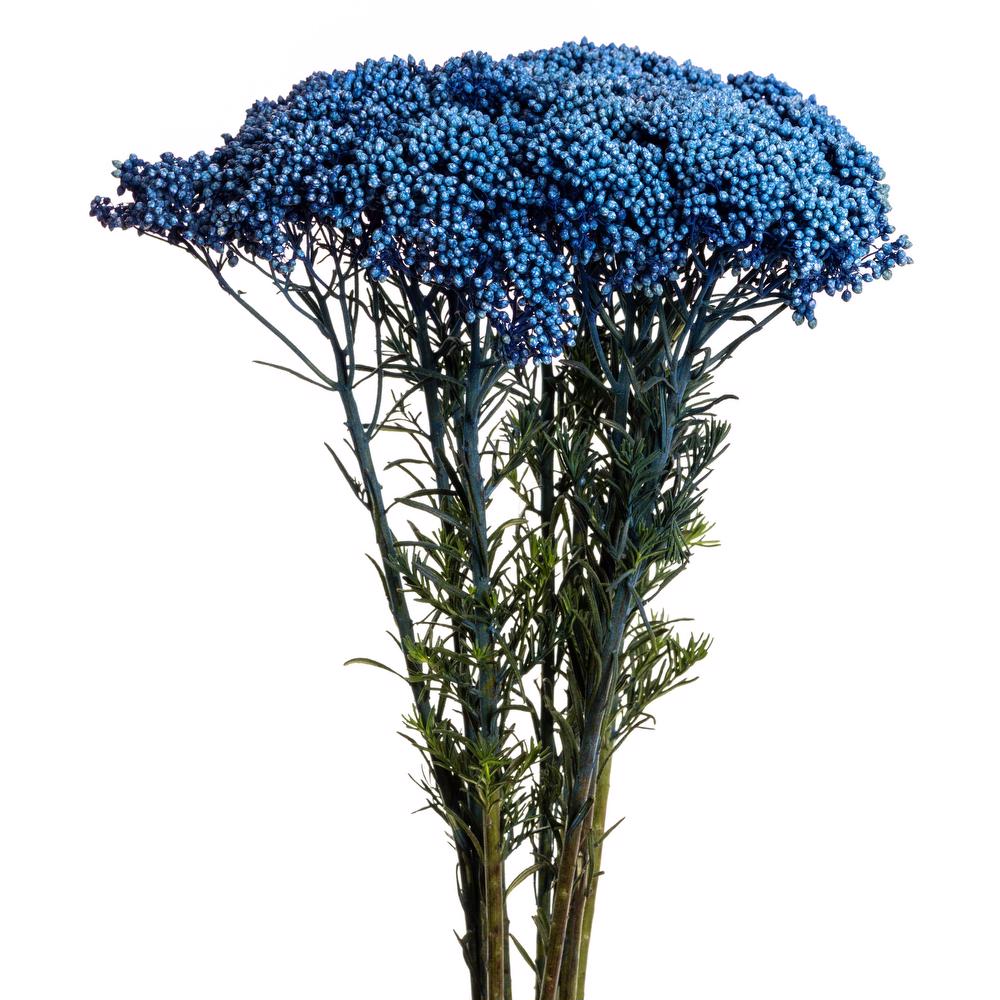 esmeralda-rice-flower-blue-painted