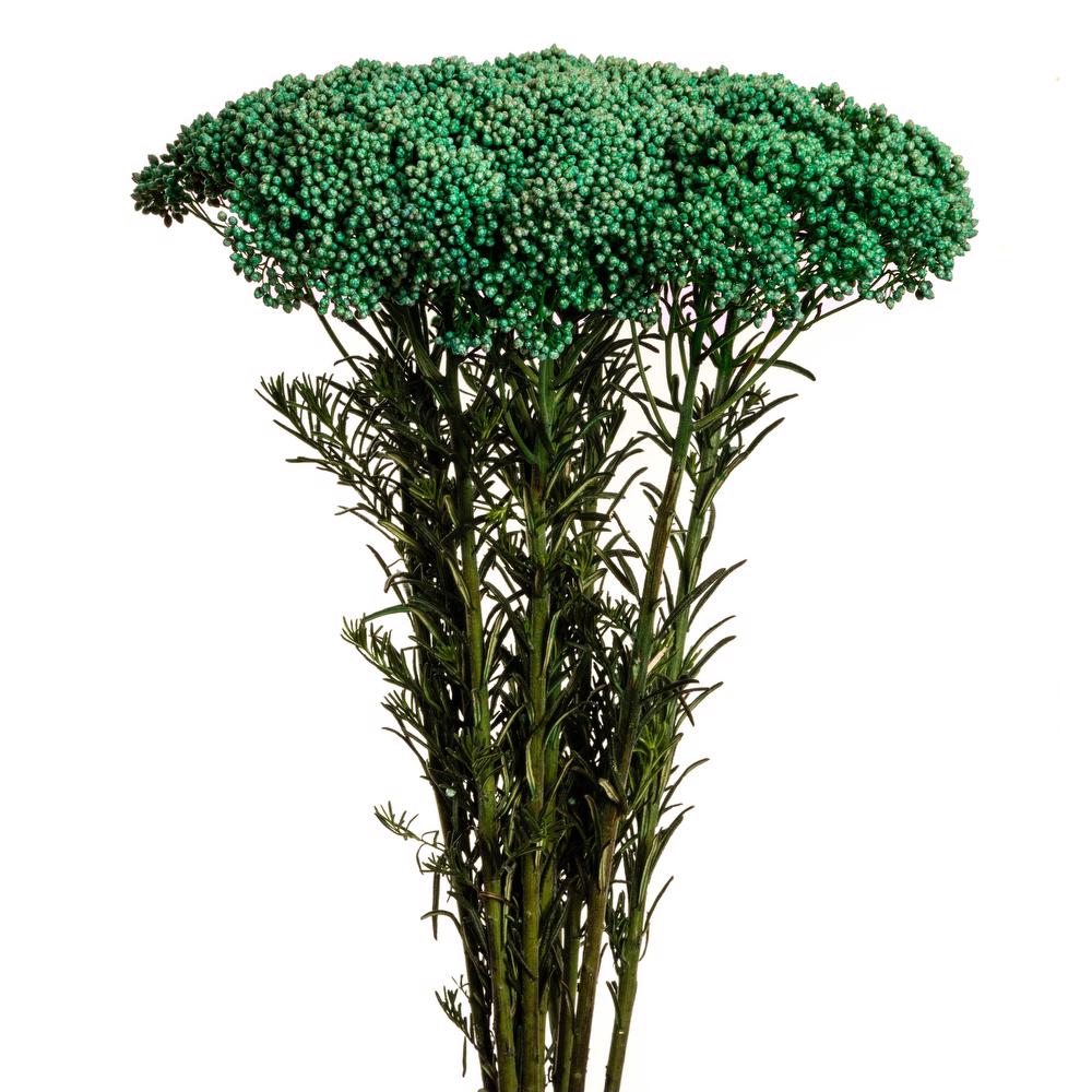 esmeralda-rice-flower-green-painted