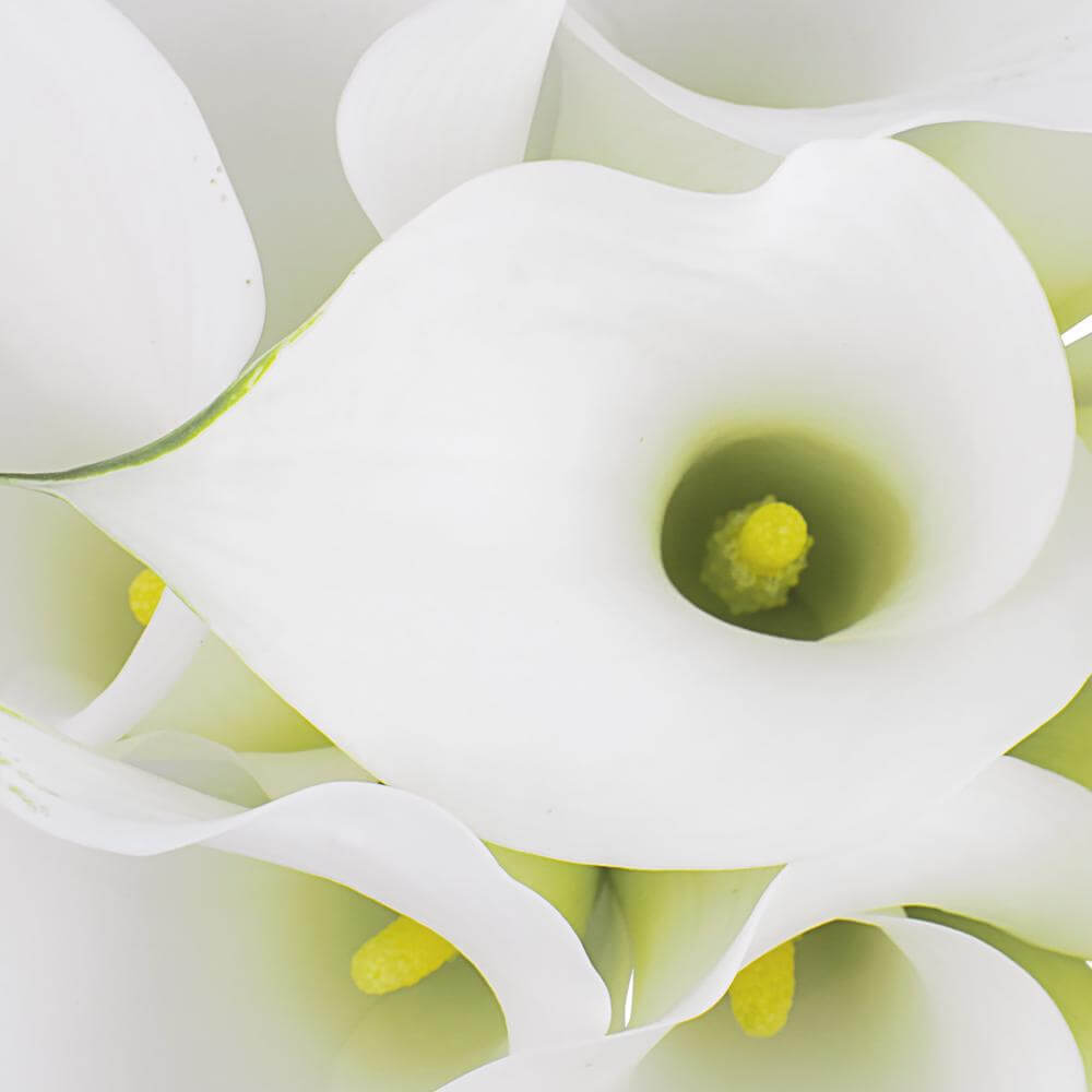 esmeralda-farms-calla-lily-aspen