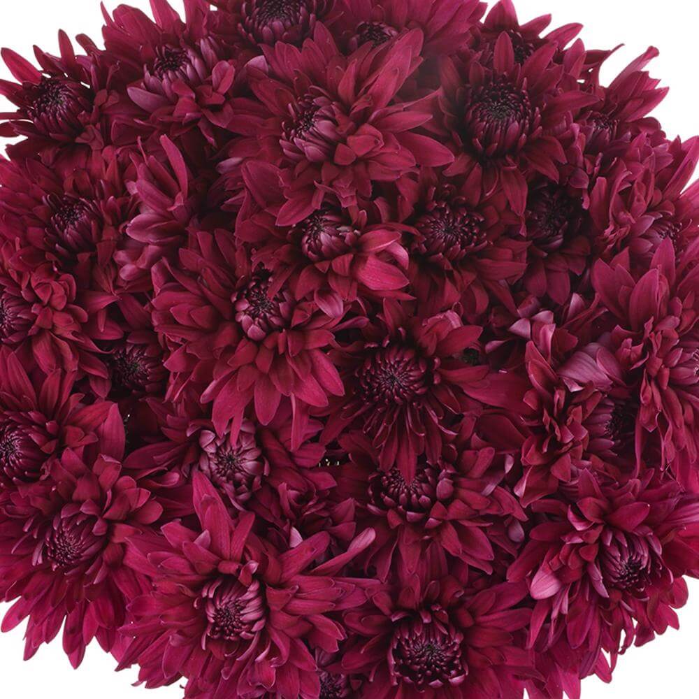 esmeralda-farms-pompon-cushion-printempo-1