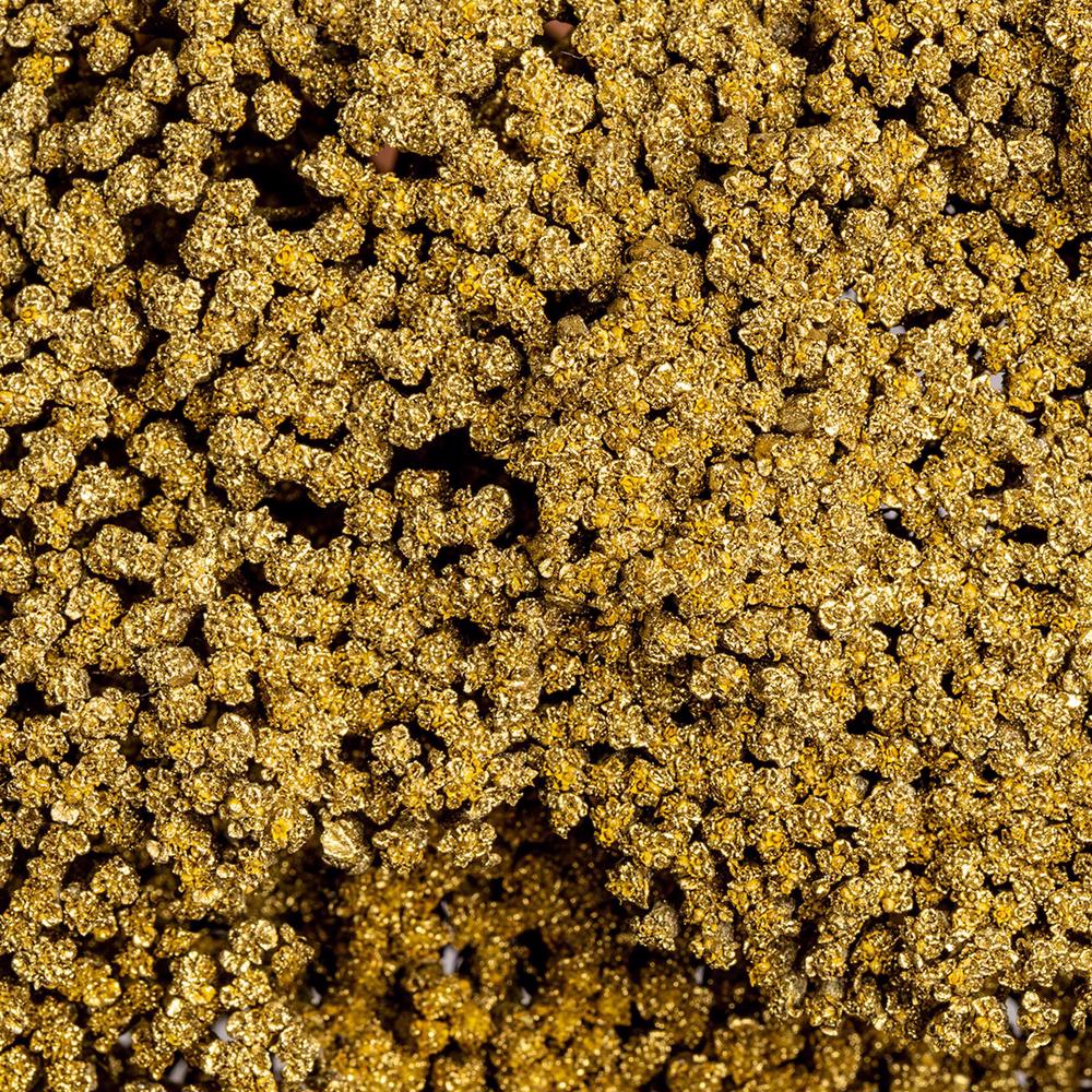 esmeralda-achillea-gold-painted