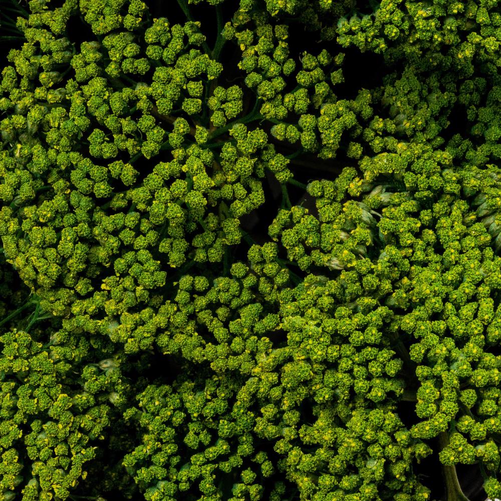 esmeralda-achillea-green-painted