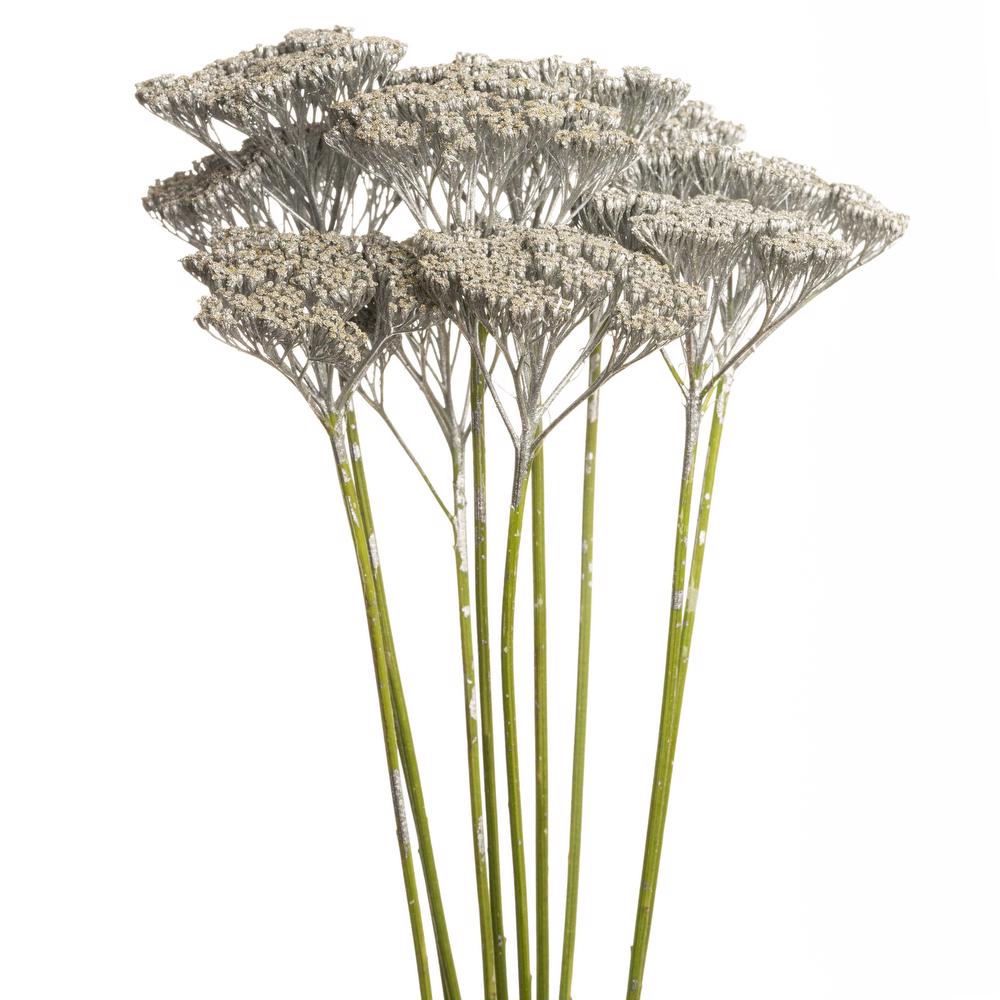 esmeralda-achillea-silver-painted