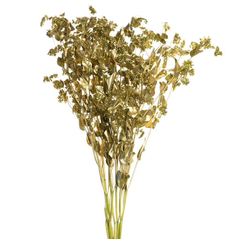 esmeralda-bupleurum-gold-painted