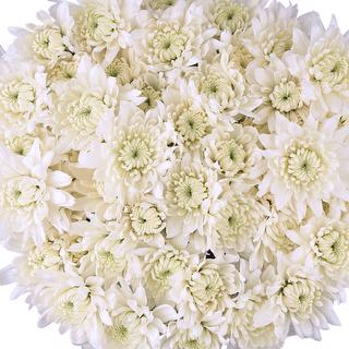 esmeralda-farms-pompon-cushion-alexis-1