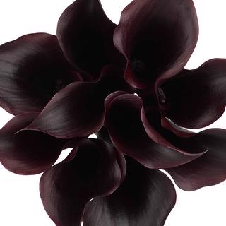 esmeralda-farms-mini-calla-lily-black-velvet-1