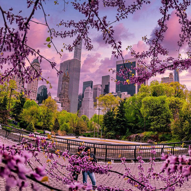 GREENSPACE-inspiration-1