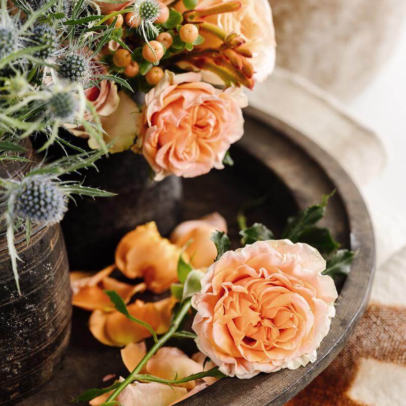 desertstorm-detail-2