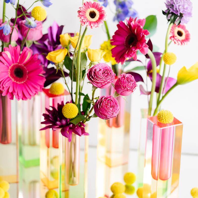 phytovirtual-inspiration-2